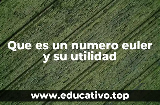Que es un numero euler y su utilidad