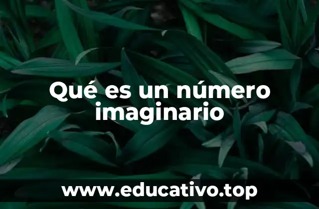 Qué es un número imaginario