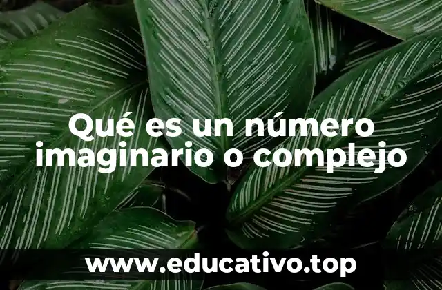 Qué es un número imaginario o complejo