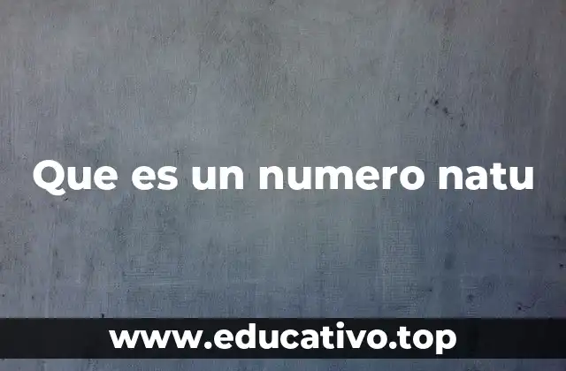Los cimientos de la numeración humana