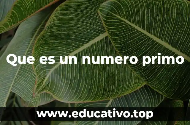 Que es un numero primo