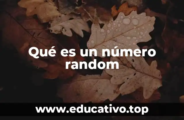 Qué es un número random