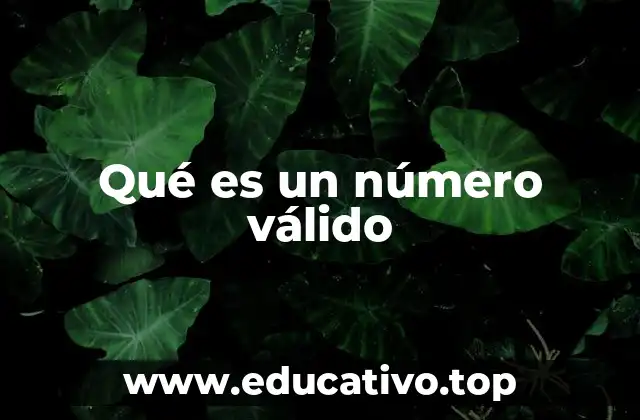 Qué es un número válido