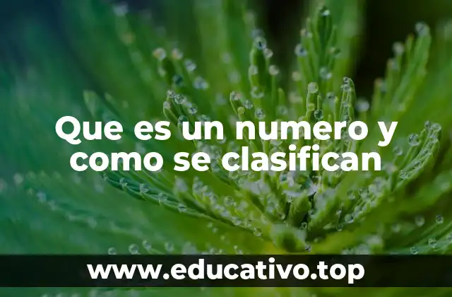 Que es un numero y como se clasifican
