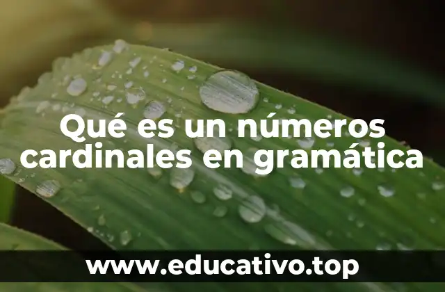 Qué es un números cardinales en gramática