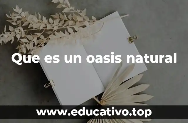 Que es un oasis natural
