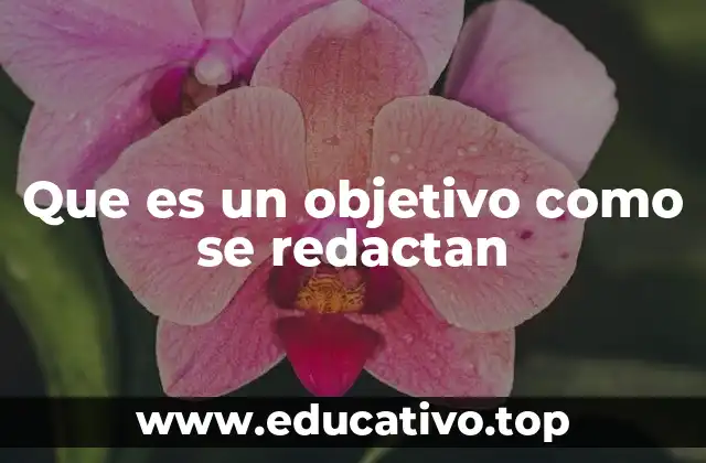 La importancia de los objetivos en la toma de decisiones