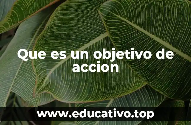 Que es un objetivo de accion