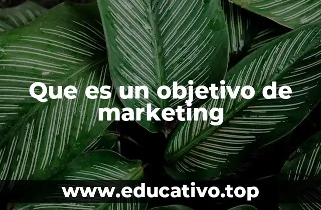 Que es un objetivo de marketing