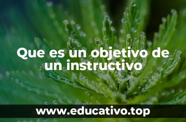 Que es un objetivo de un instructivo
