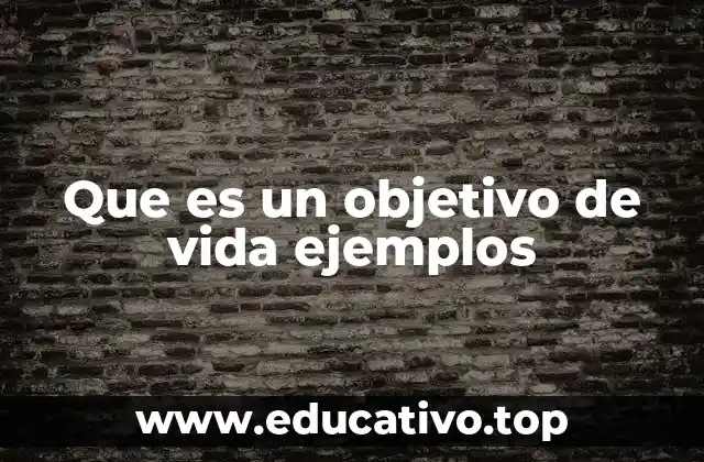 Que es un objetivo de vida ejemplos