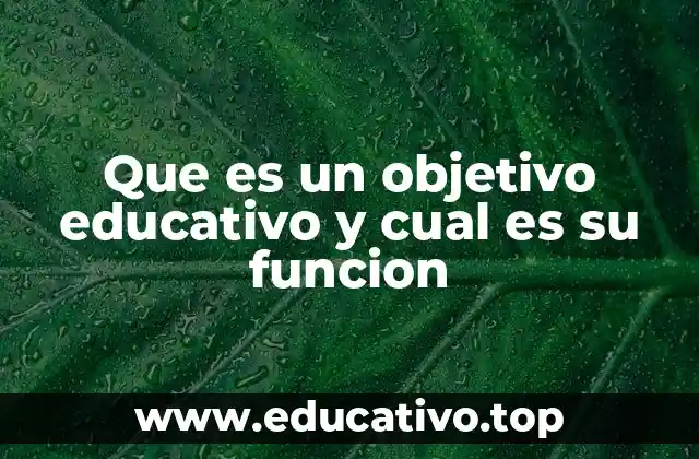 Que es un objetivo educativo y cual es su funcion