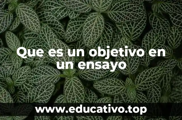 Que es un objetivo en un ensayo