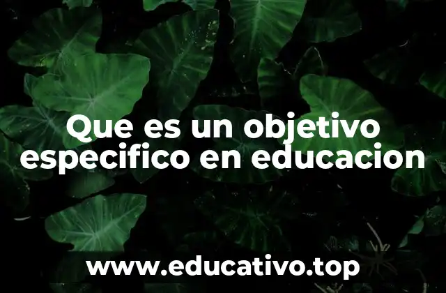 Que es un objetivo especifico en educacion