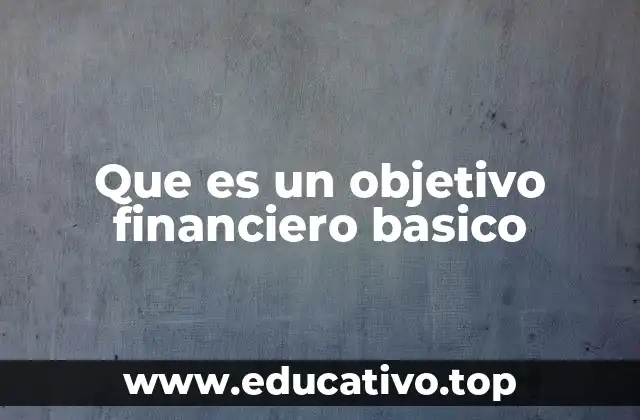 Que es un objetivo financiero basico