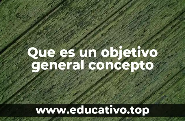 Que es un objetivo general concepto