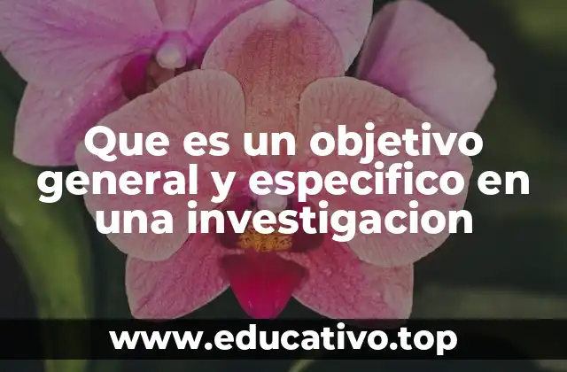 Que es un objetivo general y especifico en una investigacion