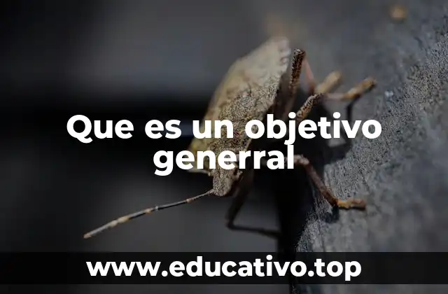 Que es un objetivo generral