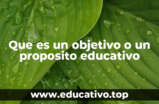 Que es un objetivo o un proposito educativo