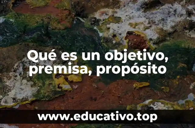 Qué es un objetivo, premisa, propósito