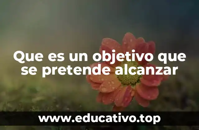 Que es un objetivo que se pretende alcanzar
