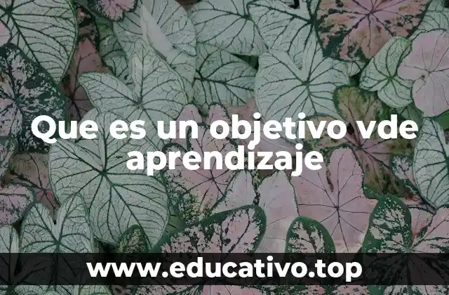 Que es un objetivo vde aprendizaje