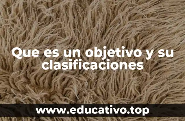 Que es un objetivo y su clasificaciones