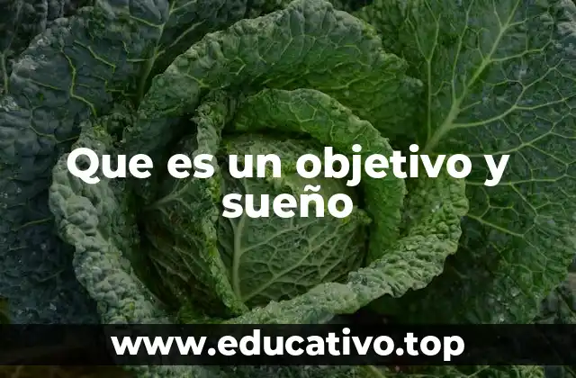 Que es un objetivo y sueño