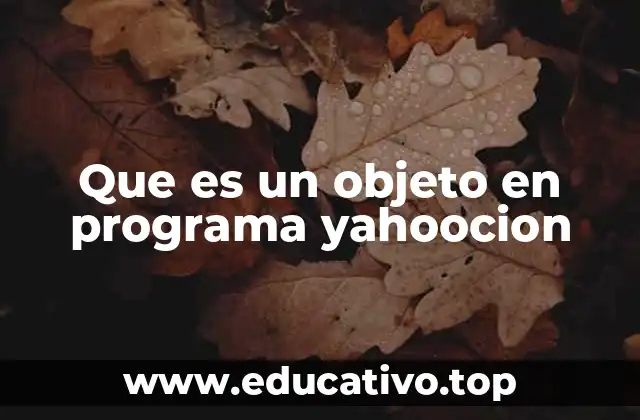 Que es un objeto en programa yahoocion