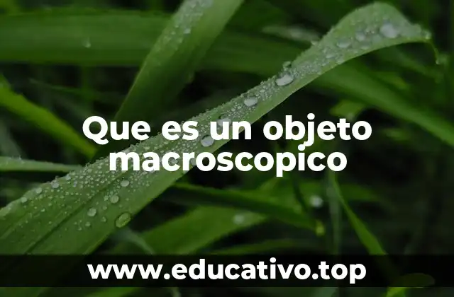 Que es un objeto macroscopico