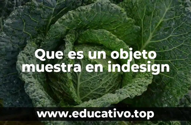 Que es un objeto muestra en indesign