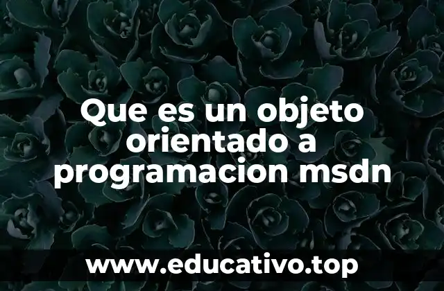Que es un objeto orientado a programacion msdn