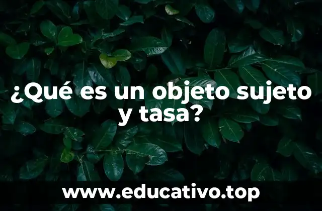 ¿Qué es un objeto sujeto y tasa?