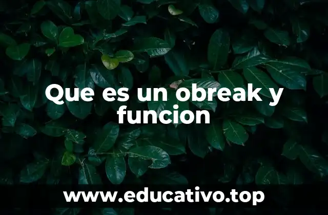 Que es un obreak y funcion
