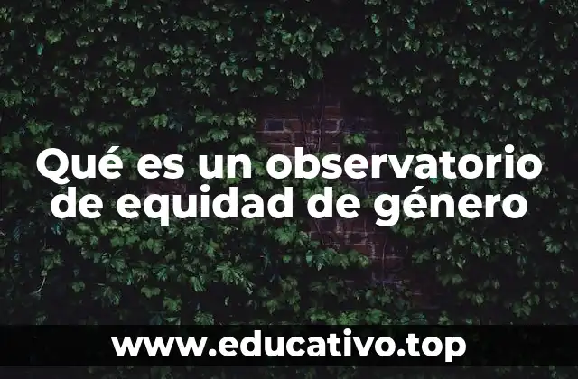 Qué es un observatorio de equidad de género