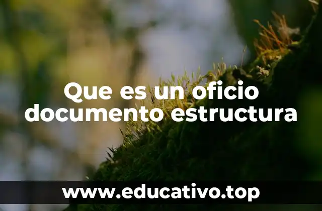 Que es un oficio documento estructura