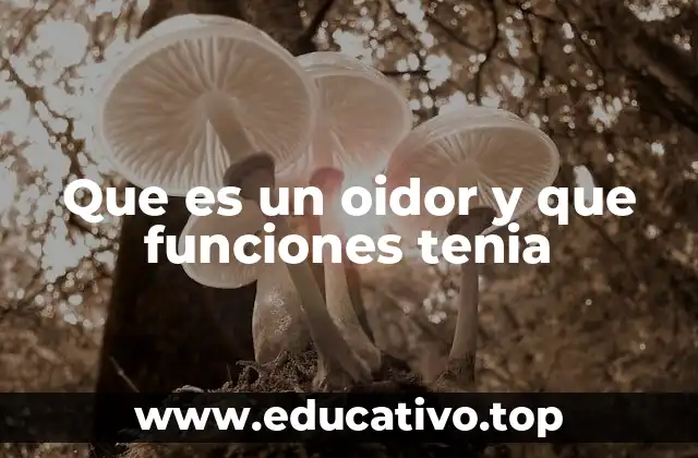 Que es un oidor y que funciones tenia