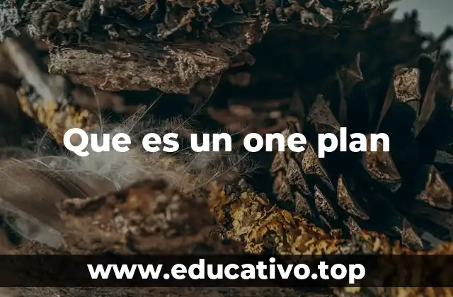 Que es un one plan