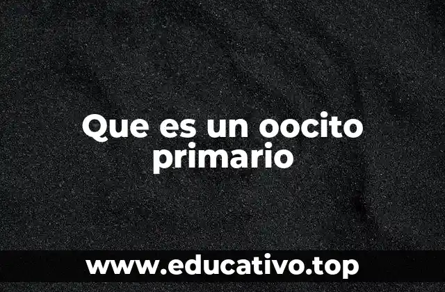 Que es un oocito primario