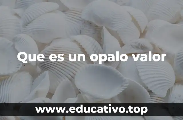 Que es un opalo valor