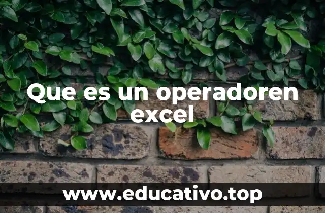 Que es un operadoren excel