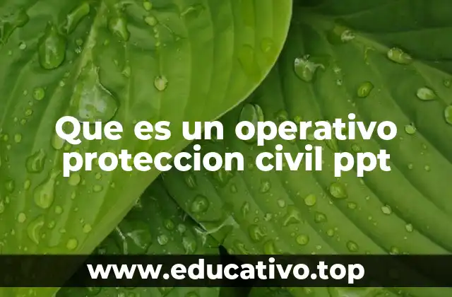 Que es un operativo proteccion civil ppt