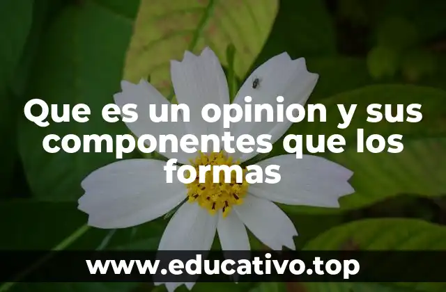 Que es un opinion y sus componentes que los formas