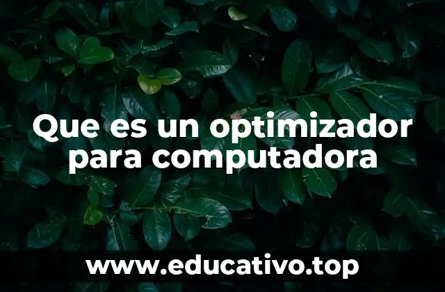 Que es un optimizador para computadora