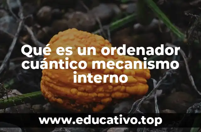 Qué es un ordenador cuántico mecanismo interno