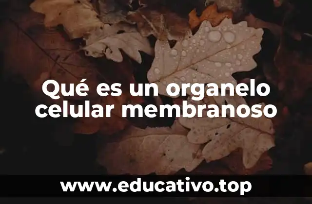 Qué es un organelo celular membranoso