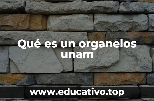 Qué es un organelos unam