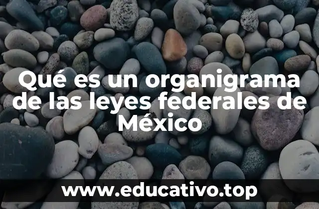 Qué es un organigrama de las leyes federales de México