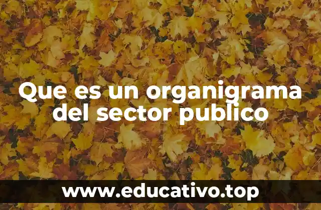 Que es un organigrama del sector publico