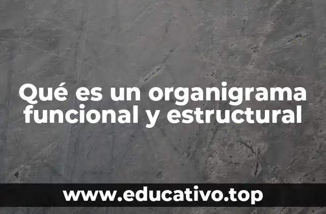 La importancia de comprender la estructura y funciones en una organización